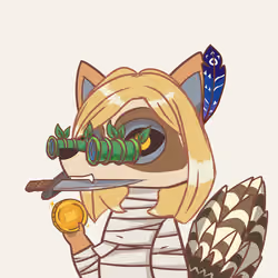 Raccoon's Isle #4852