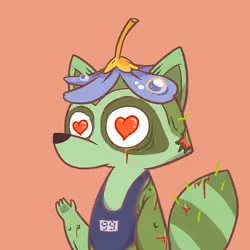 Raccoon's Isle #902