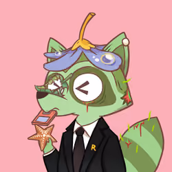 Raccoon's Isle #5455