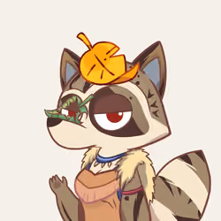 Raccoon's Isle #4531
