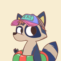 Raccoon's Isle #6333
