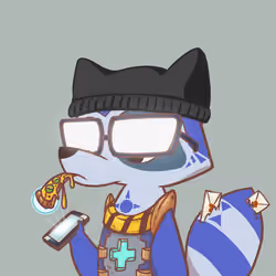 Raccoon's Isle #5374