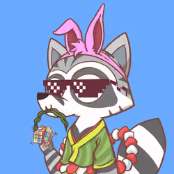 Raccoon's Isle #1465