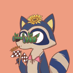 Raccoon's Isle #2462