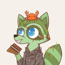 Raccoon's Isle #1175
