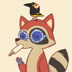 Raccoon's Isle #5017