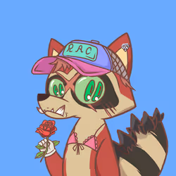 Raccoon's Isle #829