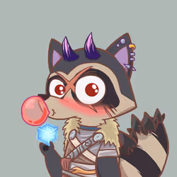 Raccoon's Isle #105