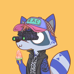 Raccoon's Isle #4527