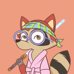 Raccoon's Isle #5038