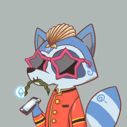 Raccoon's Isle #2809