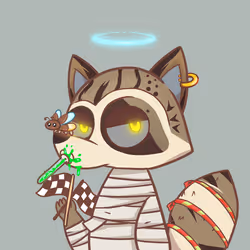 Raccoon's Isle #4160