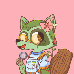 Raccoon's Isle #1546
