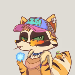 Raccoon's Isle #985