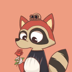 Raccoon's Isle #5074