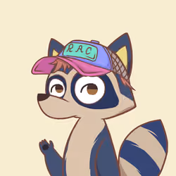 Raccoon's Isle #4903