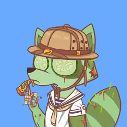 Raccoon's Isle #5165