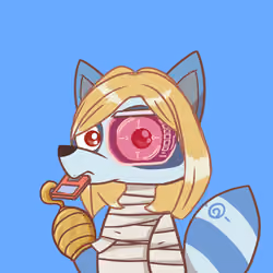 Raccoon's Isle #907