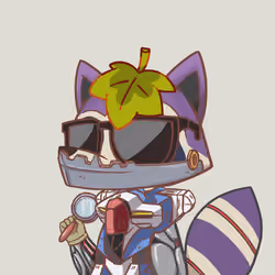 Raccoon's Isle #5426