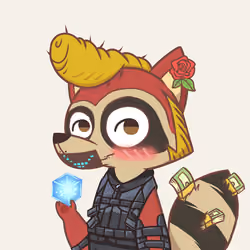 Raccoon's Isle #5579