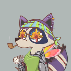 Raccoon's Isle #918