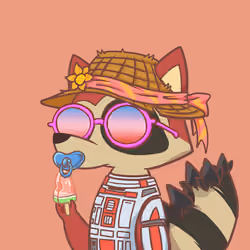 Raccoon's Isle #6500