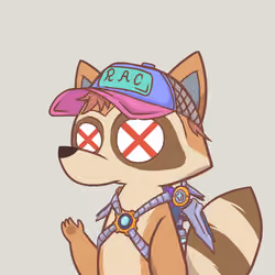 Raccoon's Isle #5553
