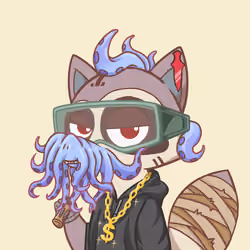 Raccoon's Isle #4255