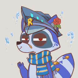 Raccoon's Isle #2994