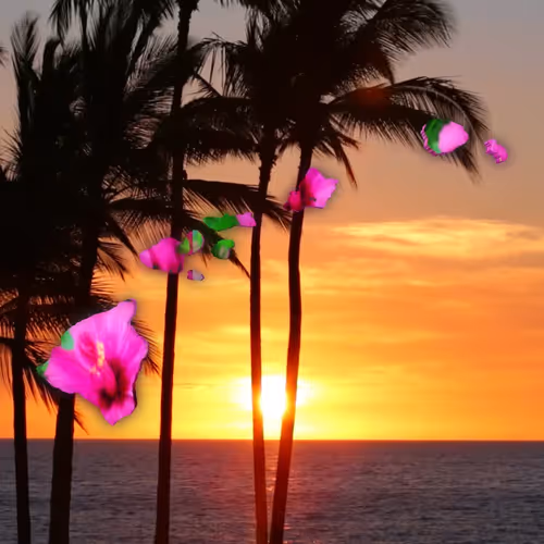 Stand With Hawaii