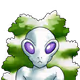 1117