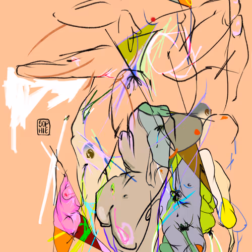 Sophie Sturdevant Editions