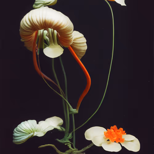 Somewhere Art X Worlds