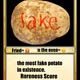 FAKEPOTATO