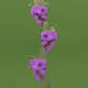 66