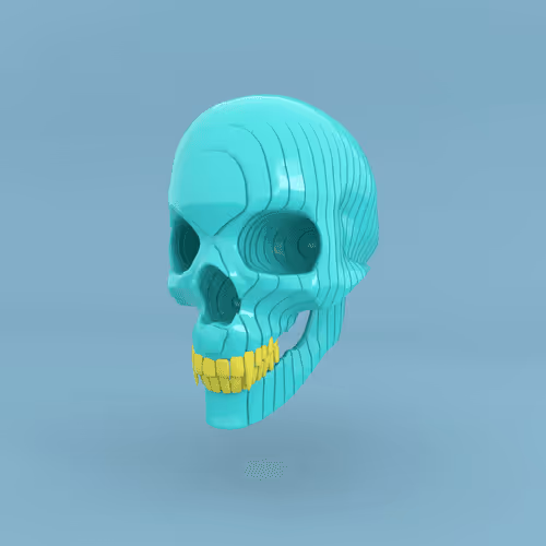 Item #41 Media