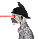 727