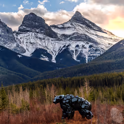 Tungsten Grizzly at Three Sisters Mountains