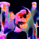513