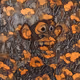 2256