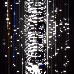 55