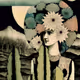 Cactus Flowers