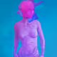 81 Gallery Collection