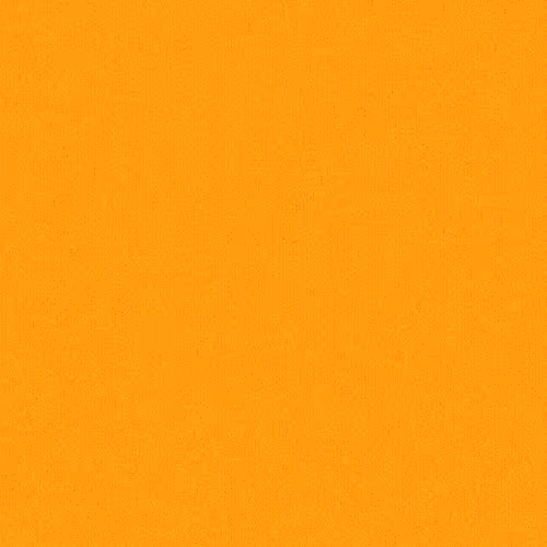 Item #449 Media