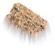 1619