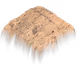 569