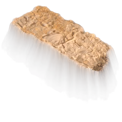 Holyrocknftvproject