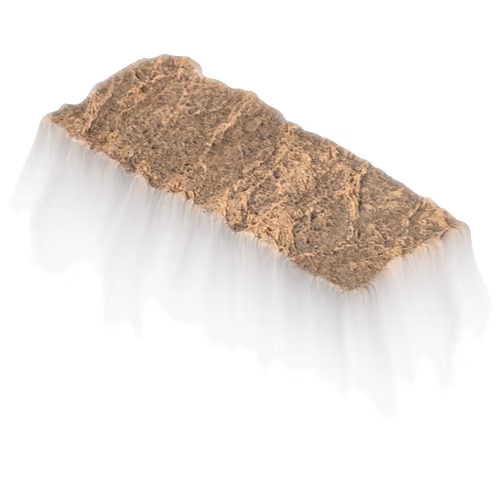 Holy Rock NFT #807