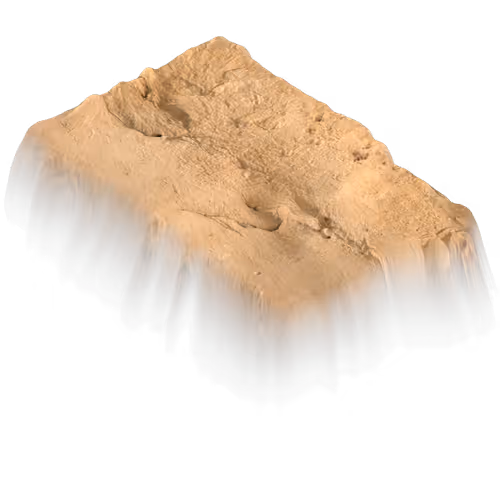 Holy Rock NFT #41