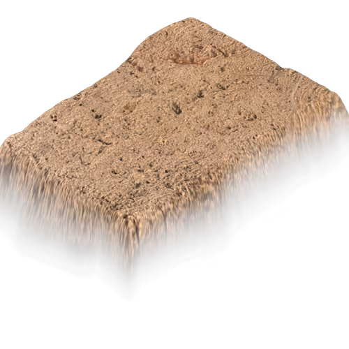 Holy Rock NFT #981